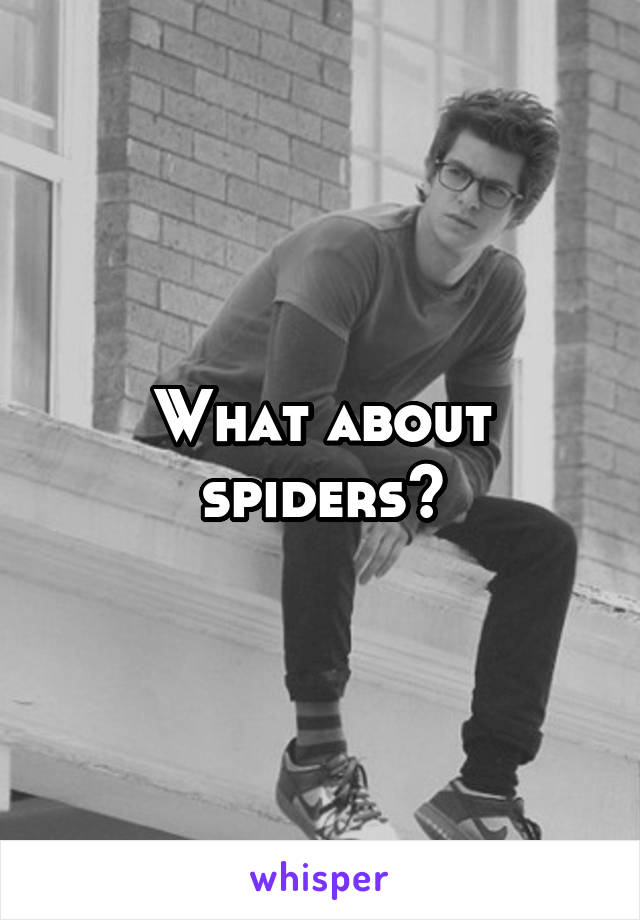 What about spiders?