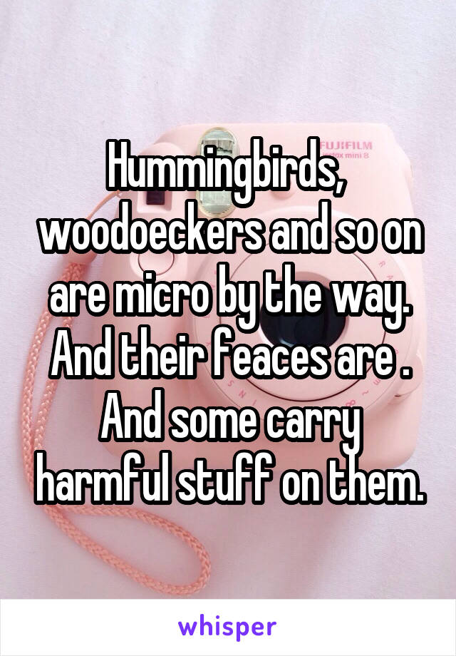 Hummingbirds,  woodoeckers and so on are micro by the way. And their feaces are . And some carry harmful stuff on them.