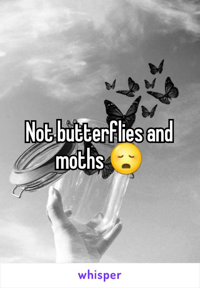 Not butterflies and moths 😳