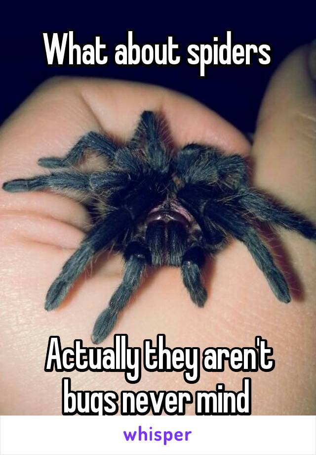 What about spiders 






Actually they aren't bugs never mind 