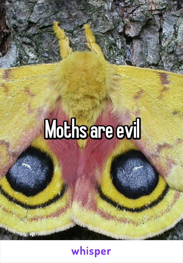 Moths are evil