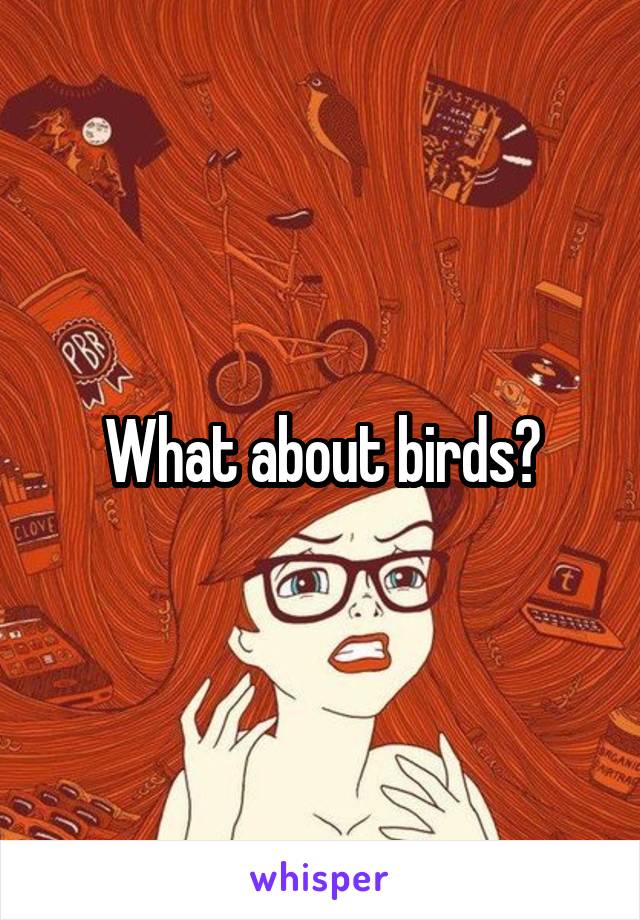 What about birds?