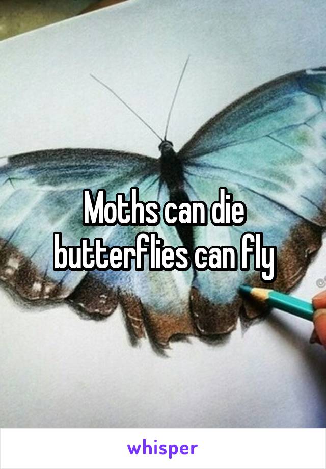 Moths can die butterflies can fly