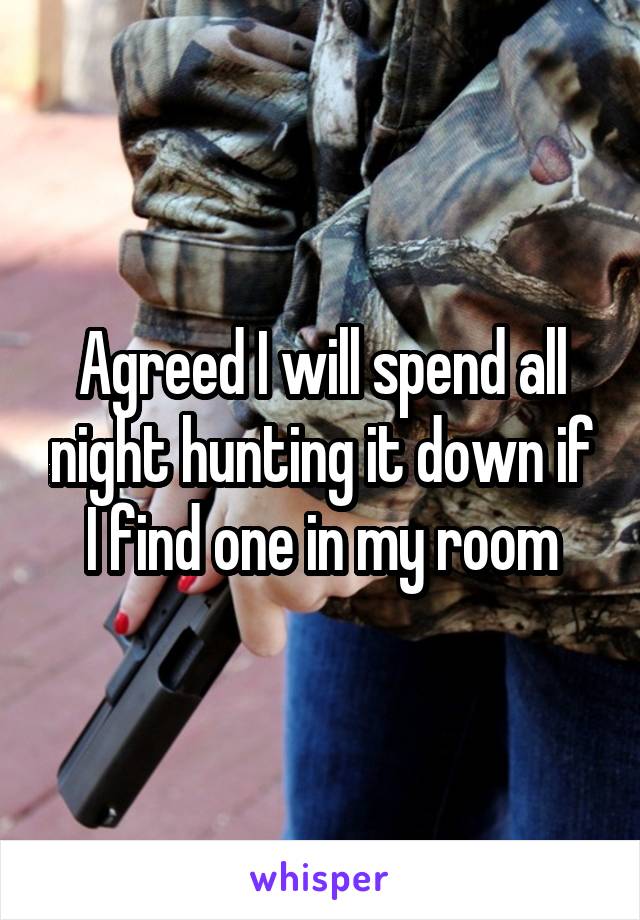 Agreed I will spend all night hunting it down if I find one in my room