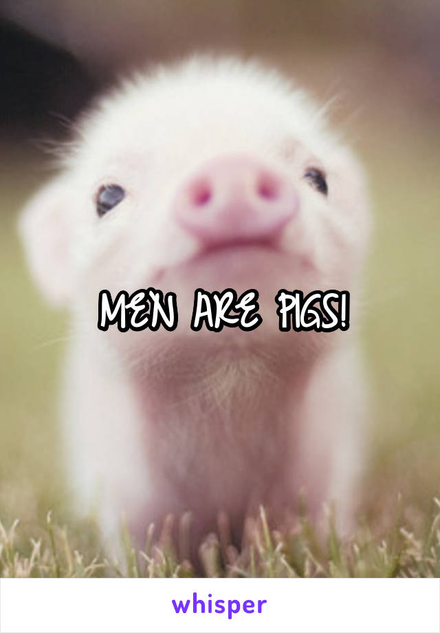 MEN ARE PIGS!