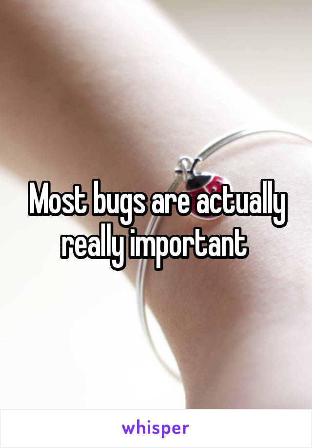 Most bugs are actually really important 