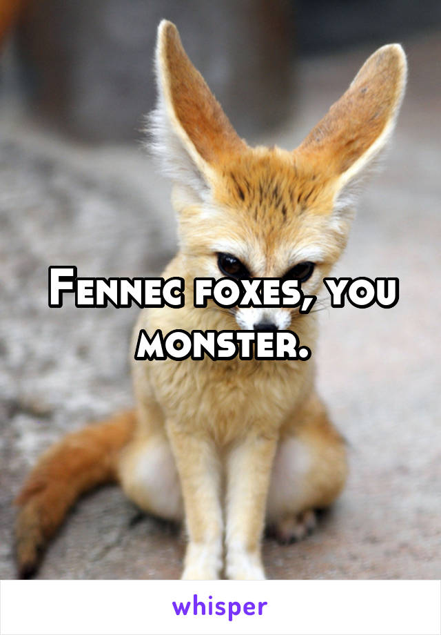 Fennec foxes, you monster.