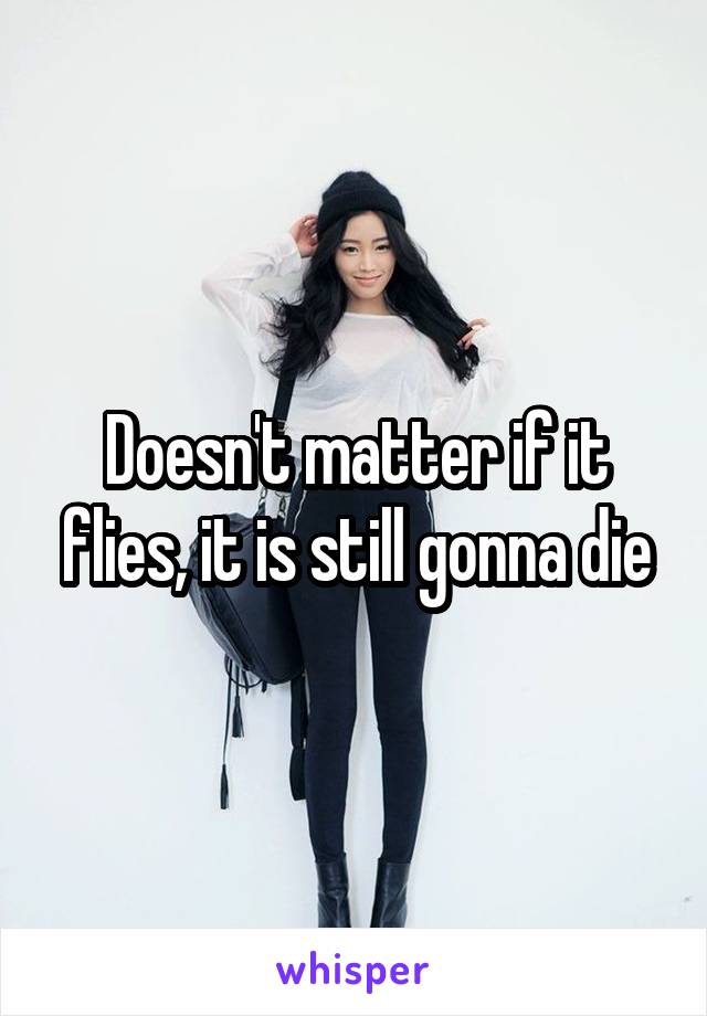 Doesn't matter if it flies, it is still gonna die