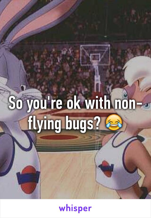 So you're ok with non-flying bugs? 😂