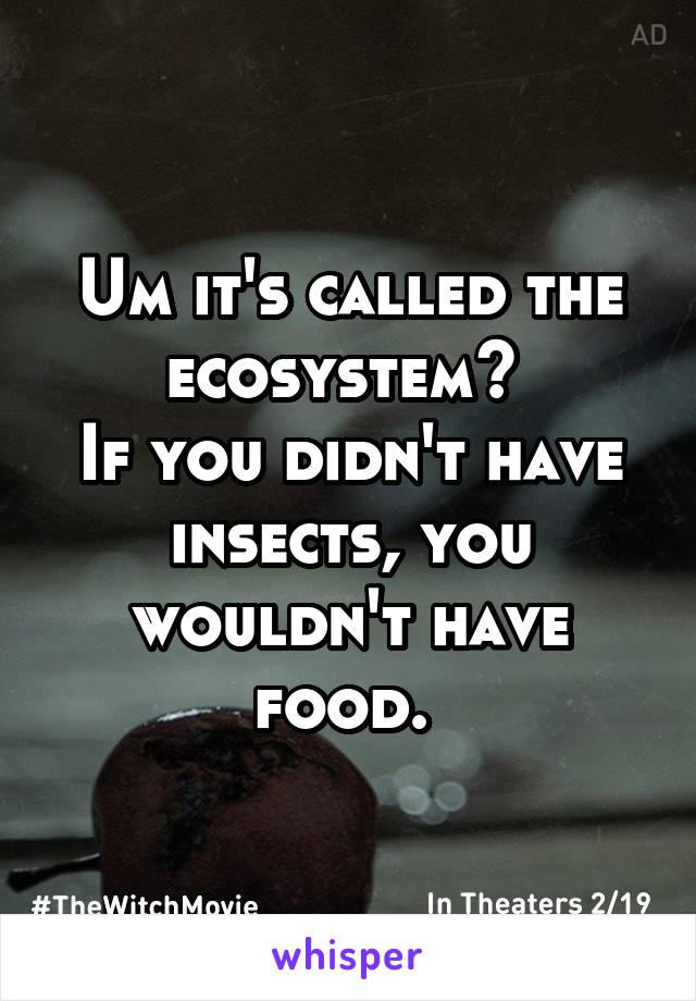 Um it's called the ecosystem? 
If you didn't have insects, you wouldn't have food. 