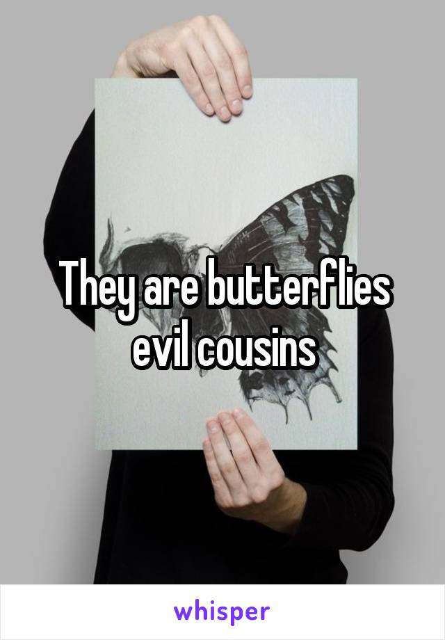 They are butterflies evil cousins