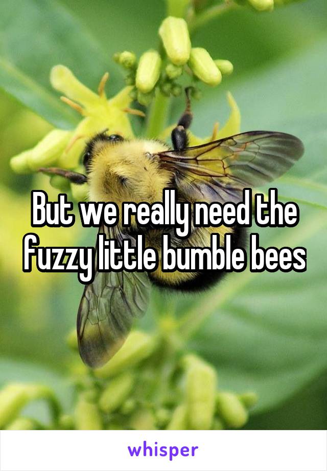 But we really need the fuzzy little bumble bees