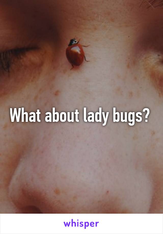 What about lady bugs? 