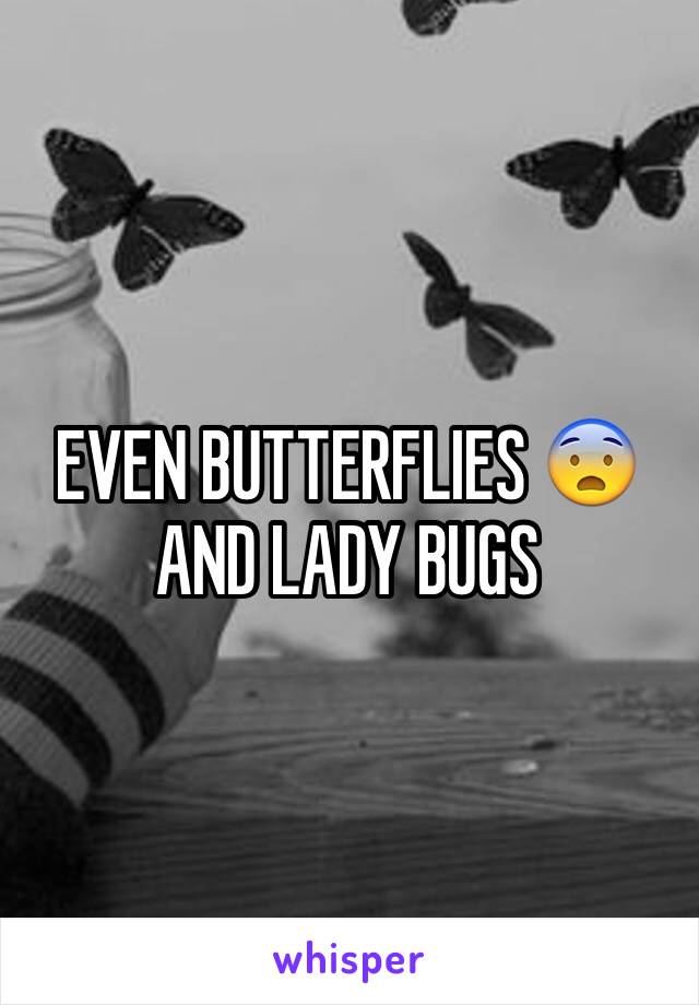 EVEN BUTTERFLIES 😨
AND LADY BUGS