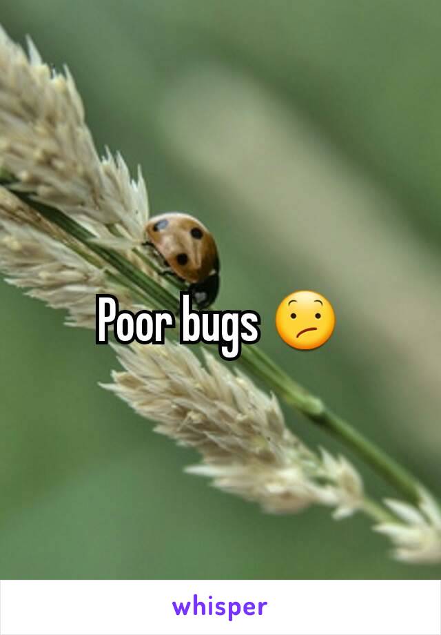 Poor bugs 😕