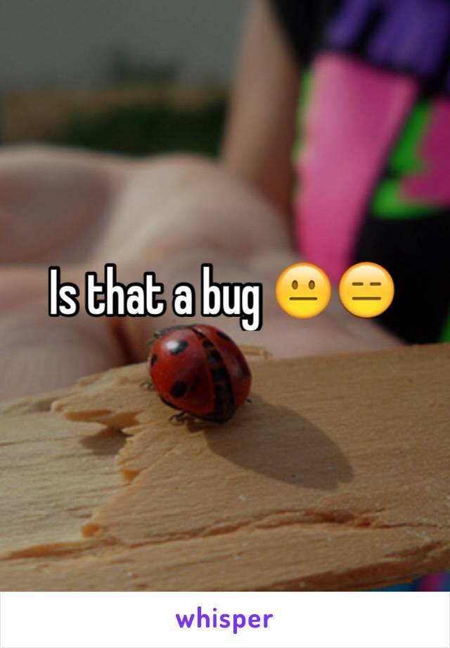 Is that a bug 😐😑