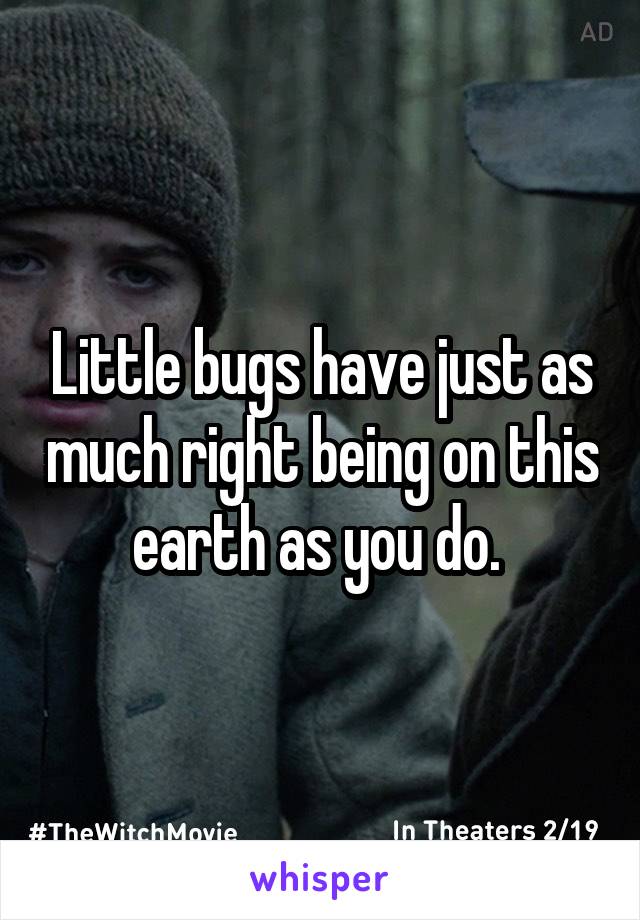 Little bugs have just as much right being on this earth as you do. 