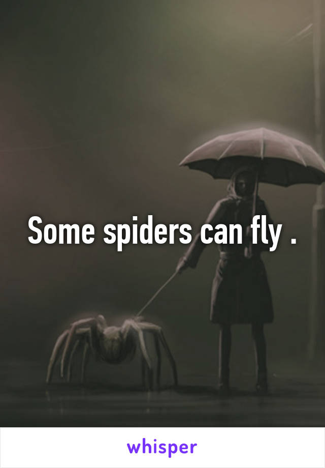 Some spiders can fly .