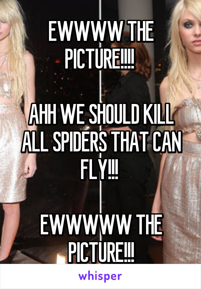 EWWWW THE PICTURE!!!! 

AHH WE SHOULD KILL ALL SPIDERS THAT CAN FLY!!! 

EWWWWW THE PICTURE!!!