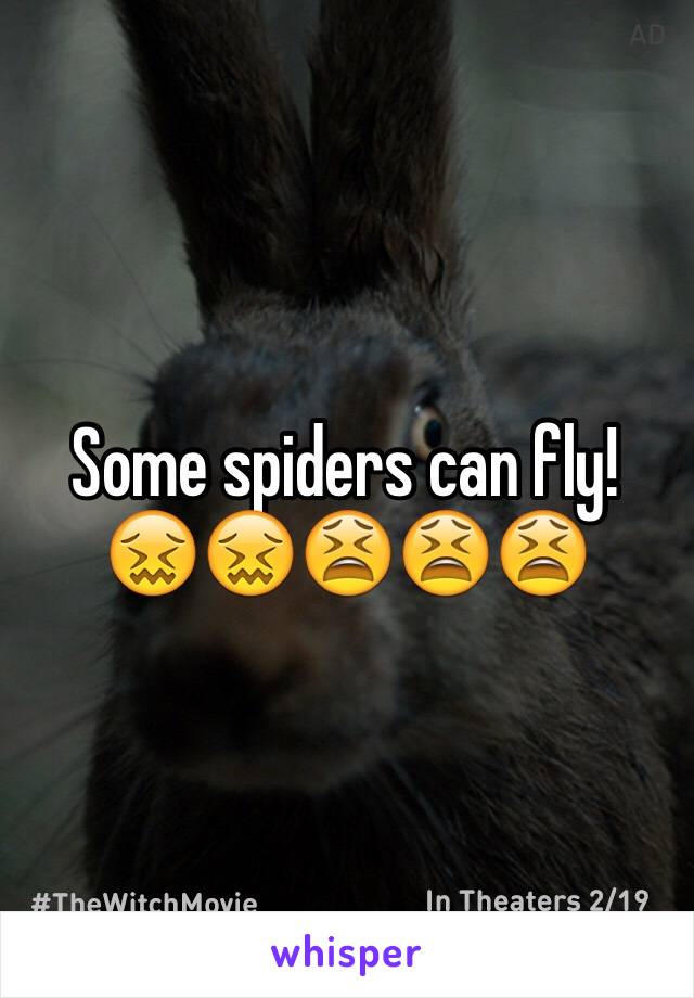 Some spiders can fly!
😖😖😫😫😫