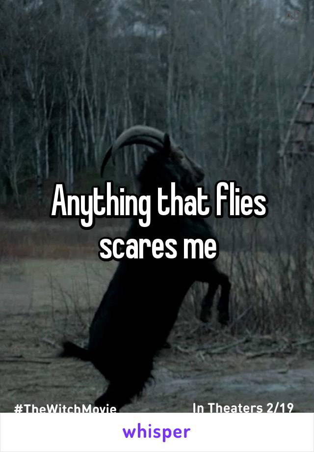 Anything that flies scares me