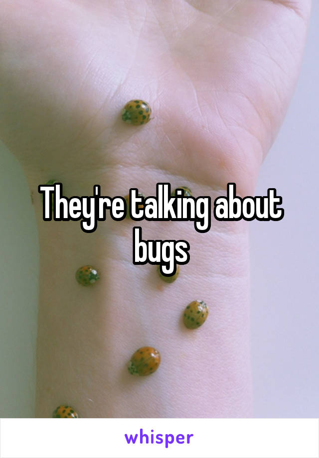 They're talking about bugs