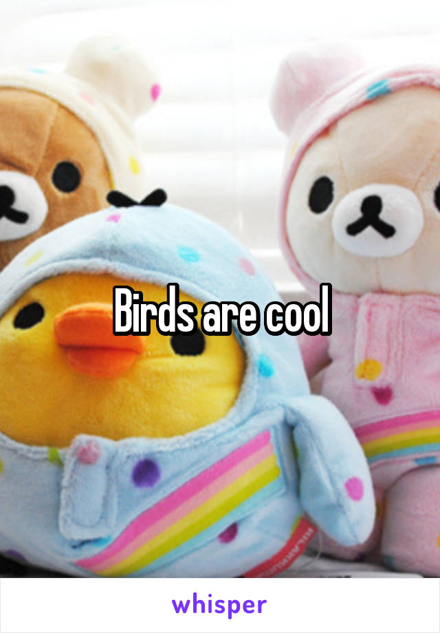 Birds are cool