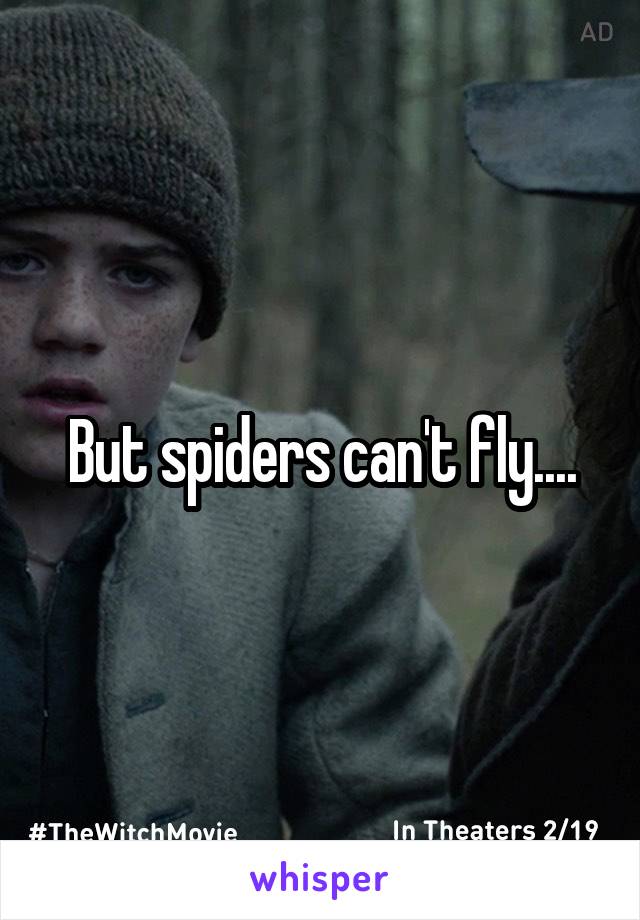 But spiders can't fly....