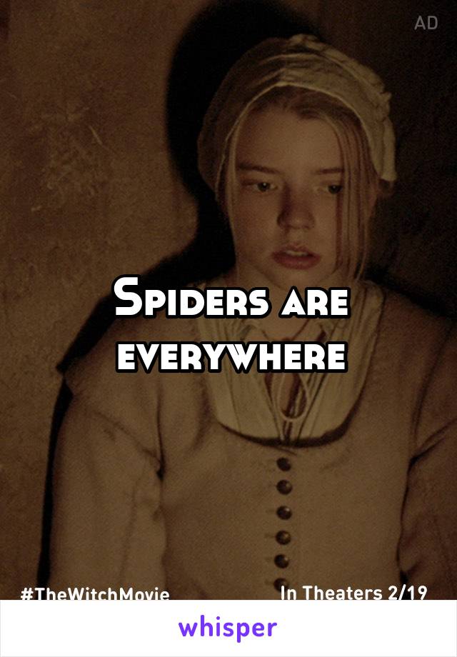 Spiders are everywhere