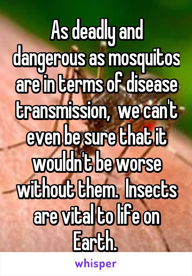 As deadly and dangerous as mosquitos are in terms of disease transmission,  we can't even be sure that it wouldn't be worse without them.  Insects are vital to life on Earth. 