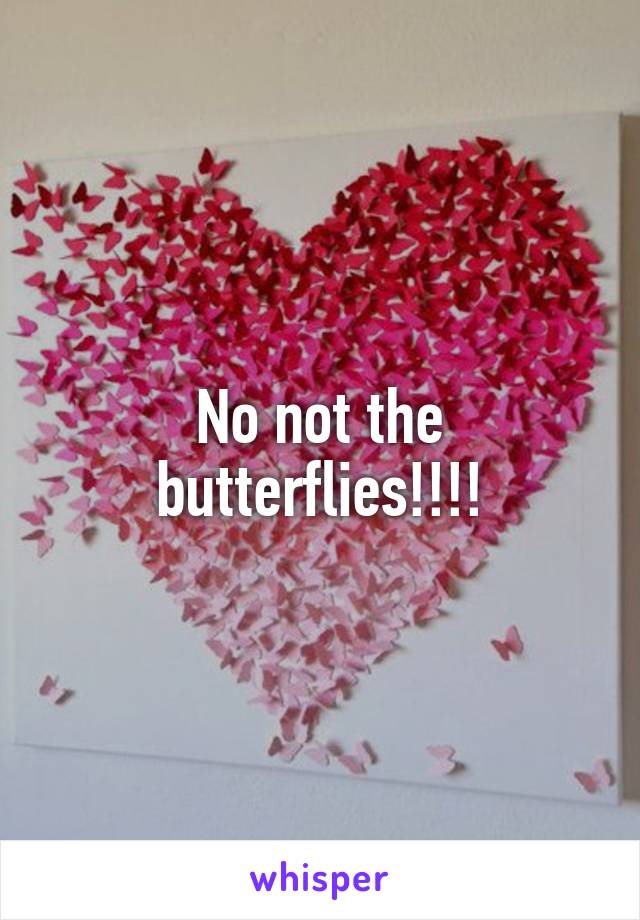 No not the butterflies!!!!