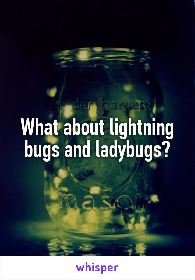 What about lightning bugs and ladybugs?