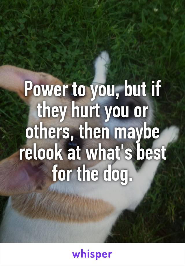 Power to you, but if they hurt you or others, then maybe relook at what's best for the dog.