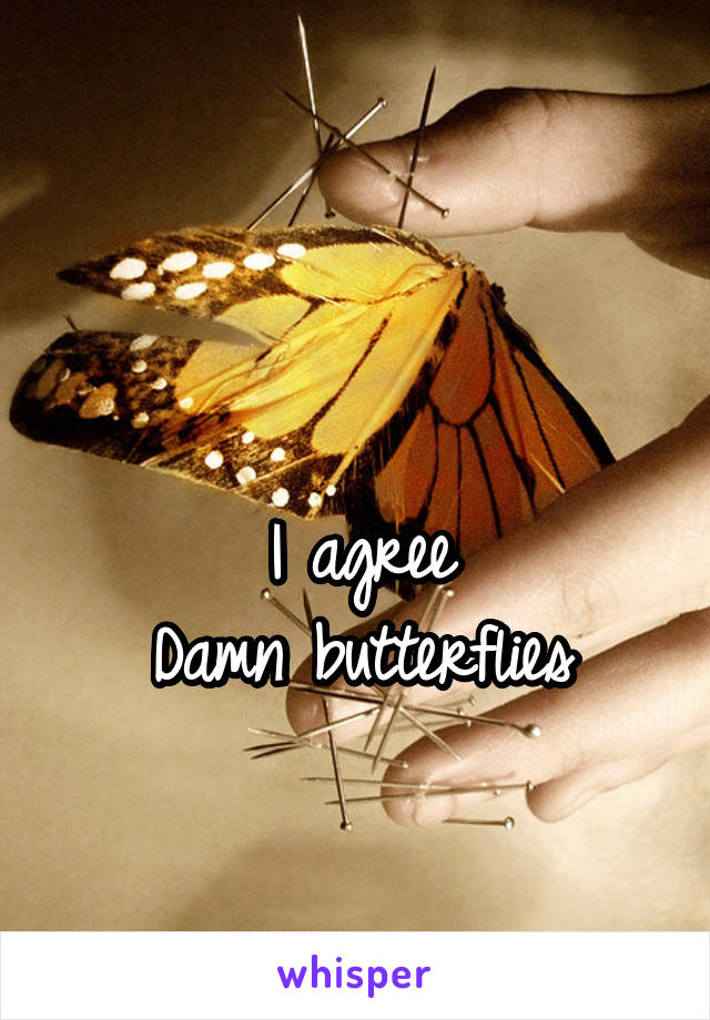 

I agree
Damn butterflies