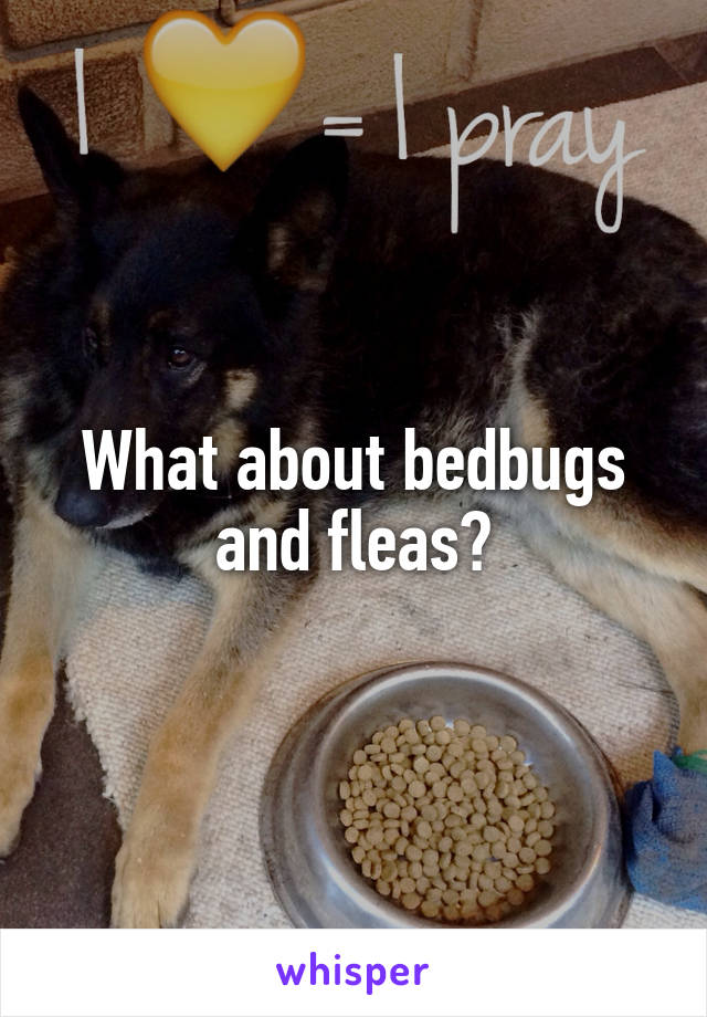 What about bedbugs and fleas?