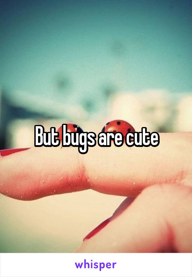 But bugs are cute