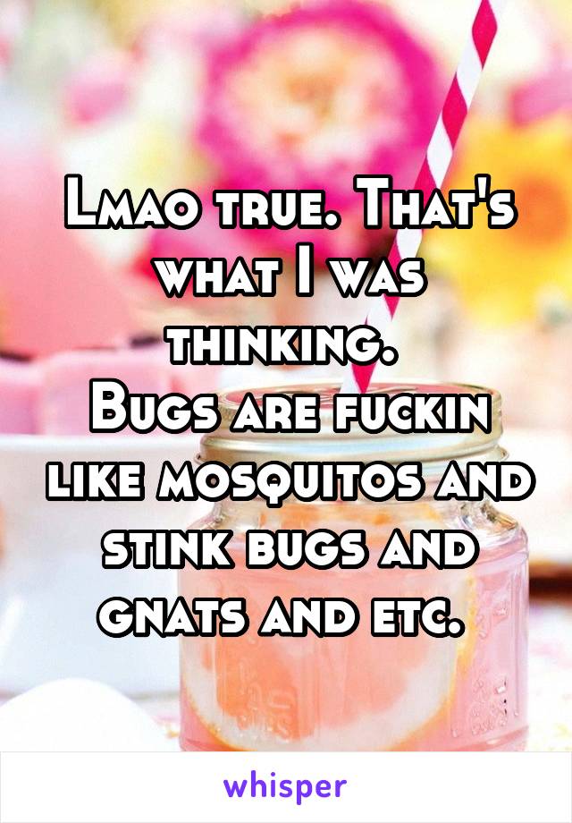 Lmao true. That's what I was thinking. 
Bugs are fuckin like mosquitos and stink bugs and gnats and etc. 