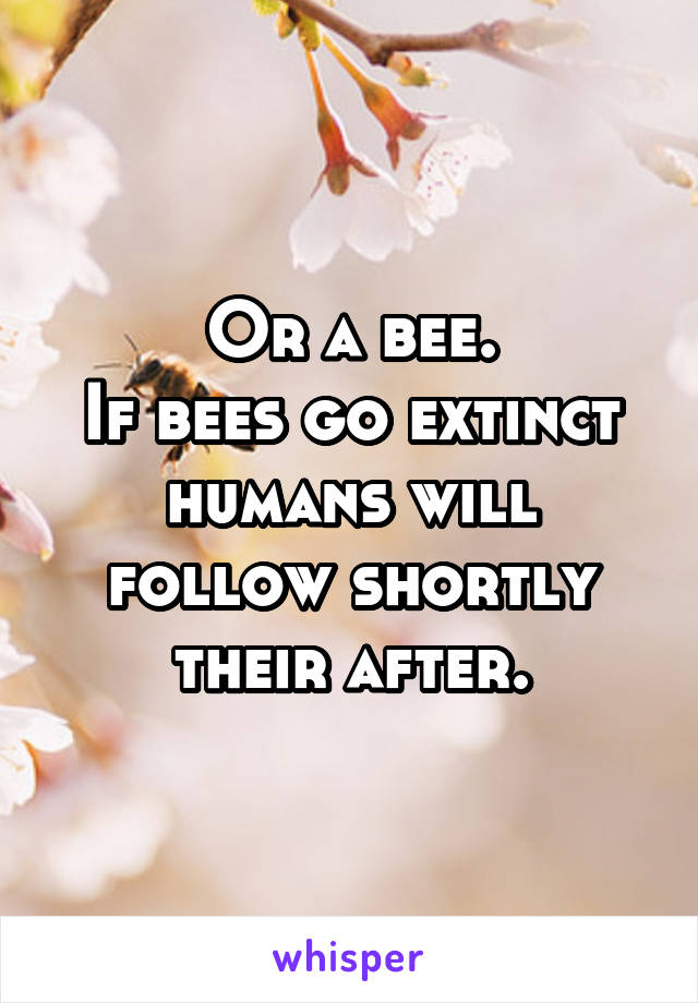 Or a bee.
If bees go extinct humans will follow shortly their after.