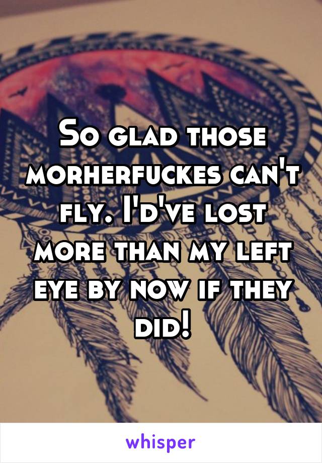 So glad those morherfuckes can't fly. I'd've lost more than my left eye by now if they did!