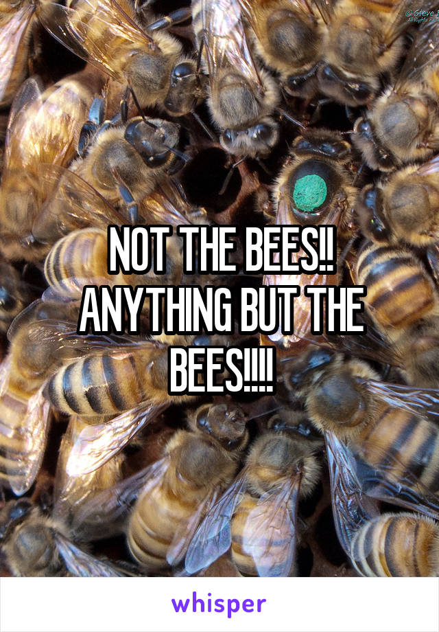 NOT THE BEES!! ANYTHING BUT THE BEES!!!!