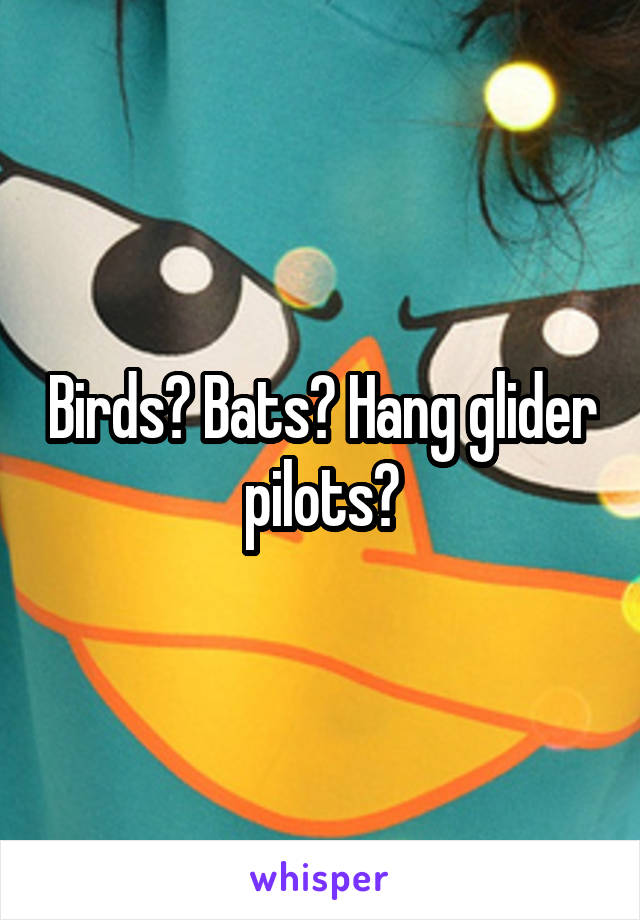 Birds? Bats? Hang glider pilots?