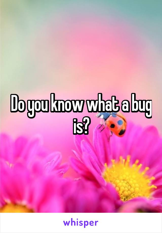 Do you know what a bug is?