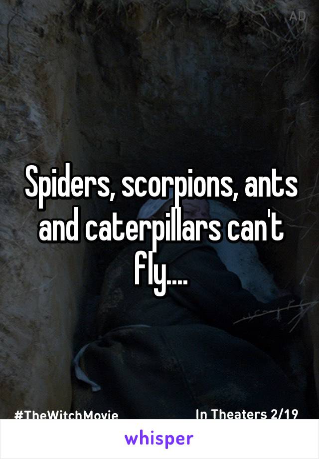 Spiders, scorpions, ants and caterpillars can't fly....