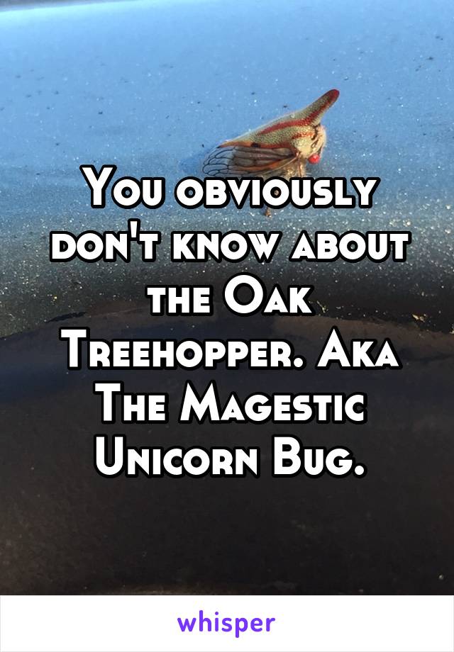 You obviously don't know about the Oak Treehopper. Aka The Magestic Unicorn Bug.