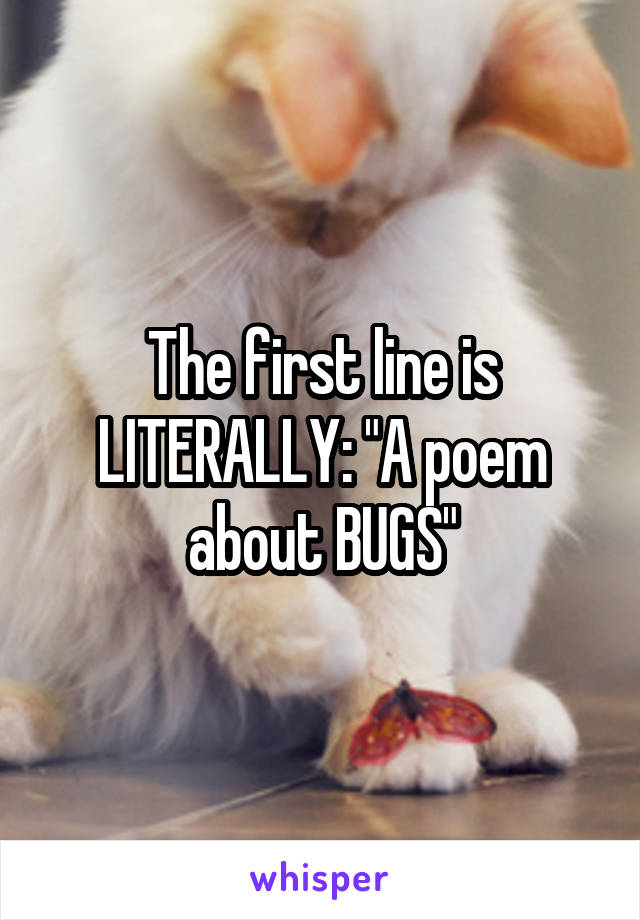 The first line is LITERALLY: "A poem about BUGS"