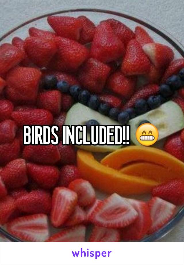 BIRDS INCLUDED!! 😁