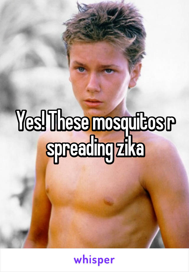 Yes! These mosquitos r spreading zika