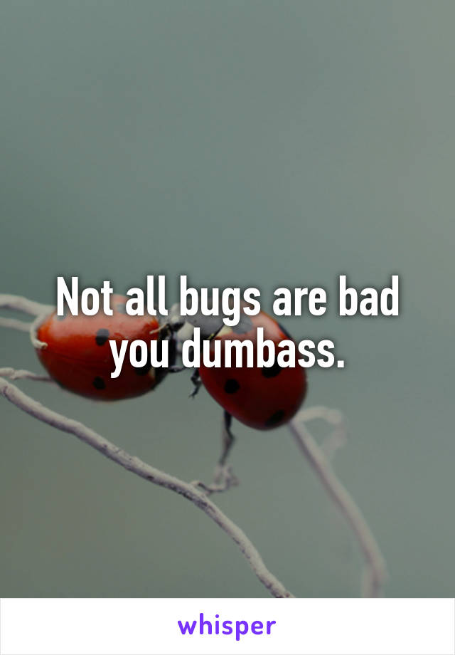 Not all bugs are bad you dumbass.