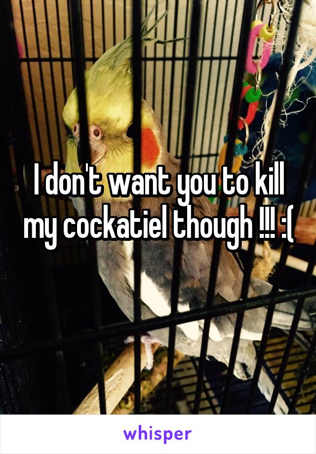 I don't want you to kill my cockatiel though !!! :( 