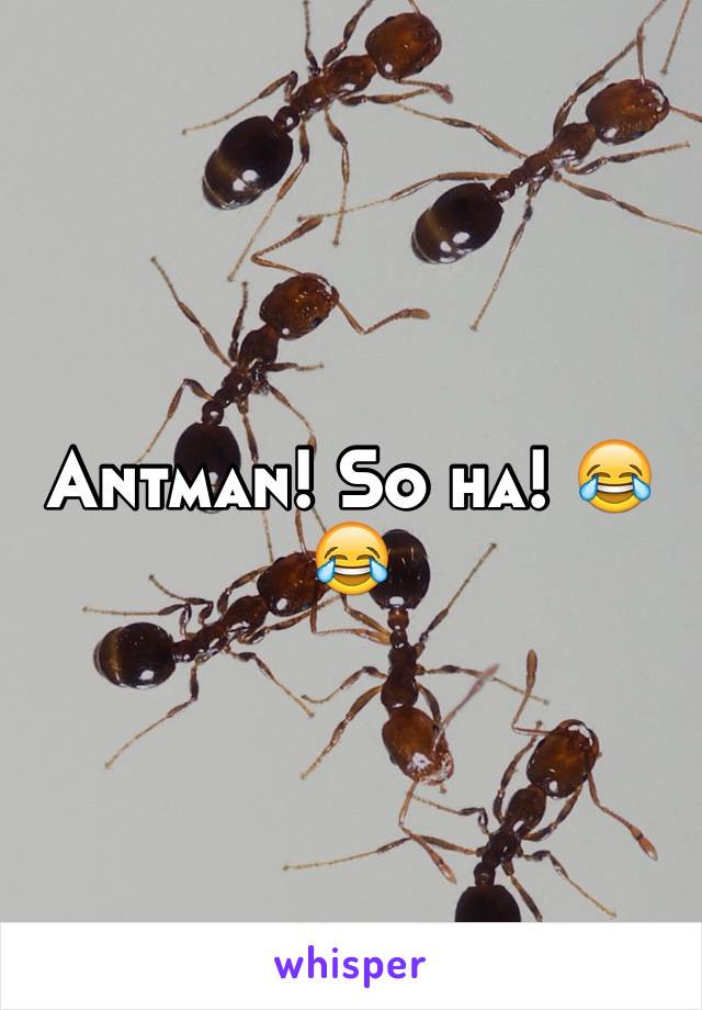 Antman! So ha! 😂😂